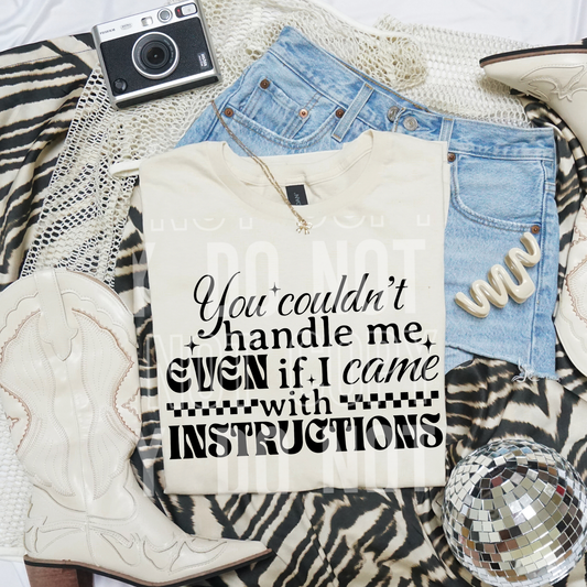 YOU COULDNT HANDLE ME INSTRUCTIONS TRANSFER