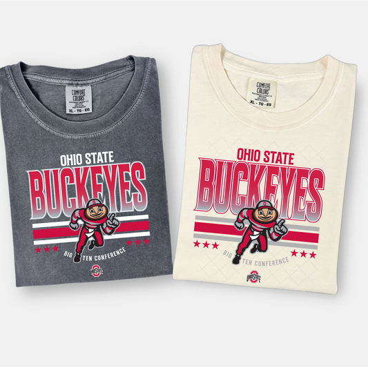 OH State Buckeyes Transfer **TWO PART* SOLD SEPARATELY**