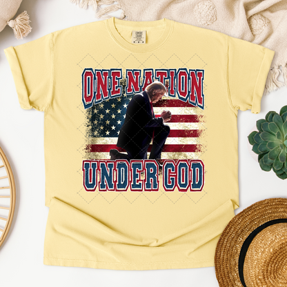 D.T. One Nation Under God Transfer