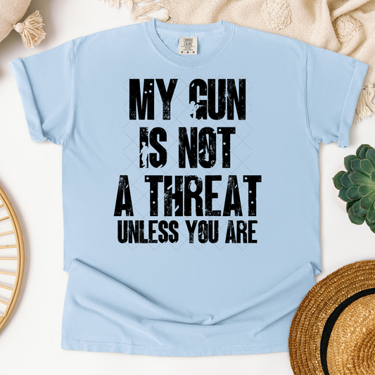 My Gun Is Not A Threat  Transfer