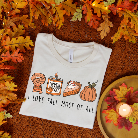 I Love Fall Most Of All Transfer