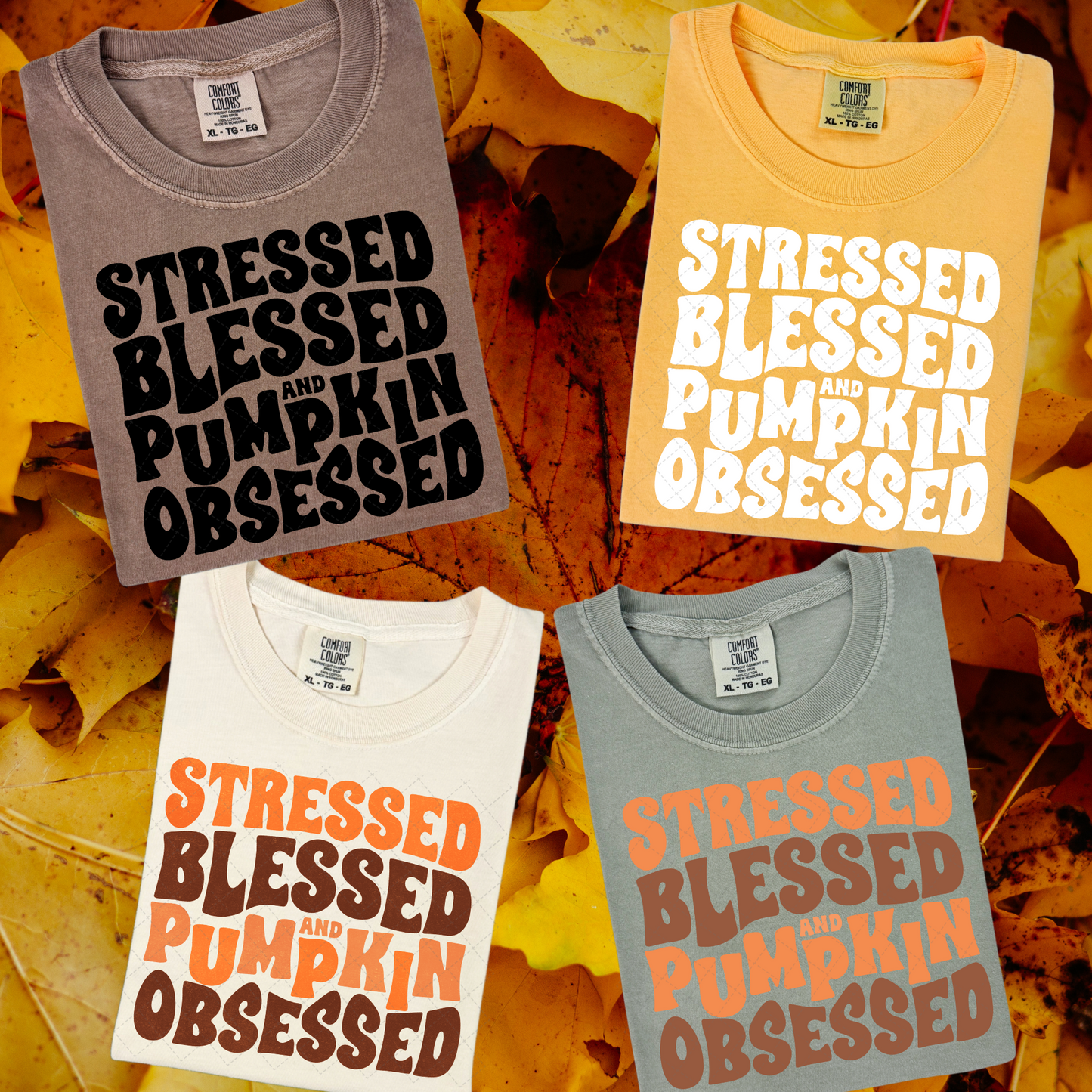 Stressed Blessed & Pumpkin Obsessed Transfer