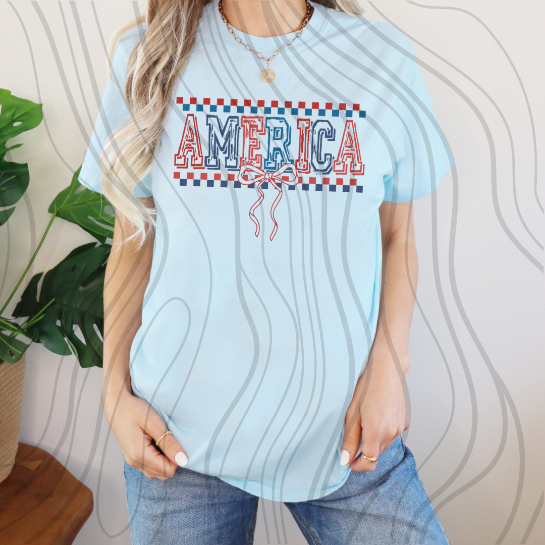 Retro Checkered America Transfer