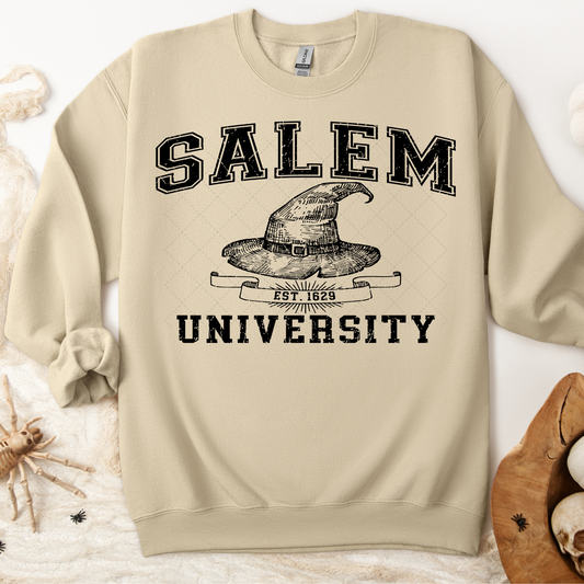 Salem University Transfer