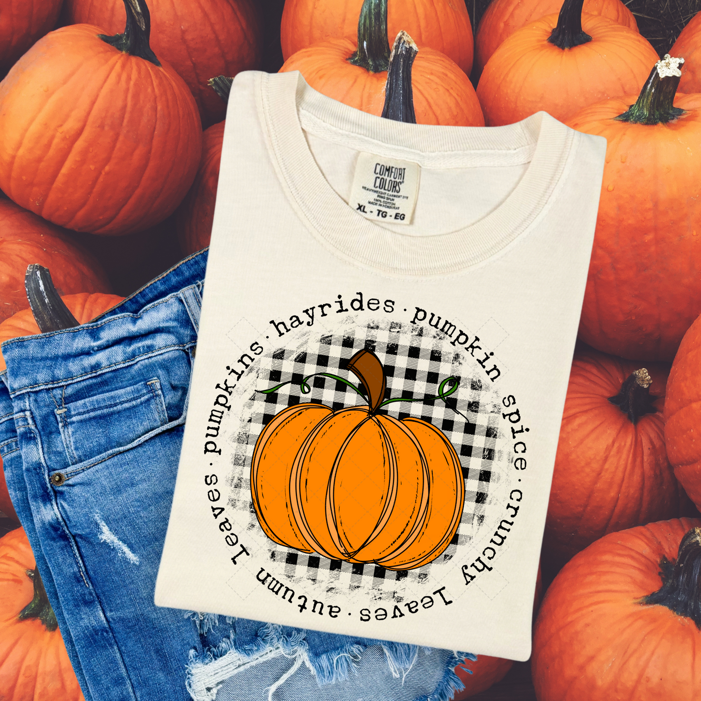 Checkered Pumpkin Transfer