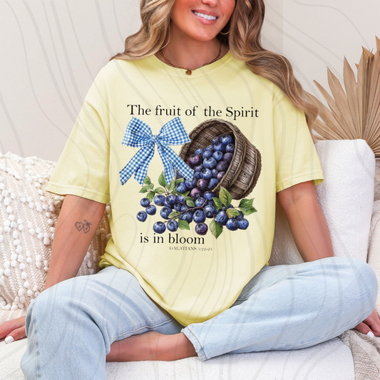 The Fruit Of The Spirit Transfer