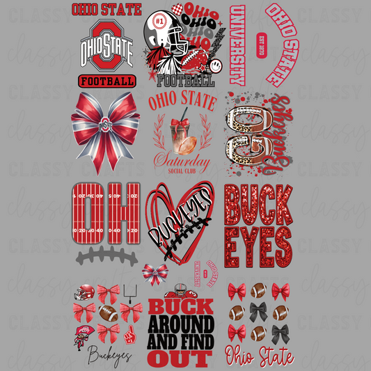 Ohio State- 30x48 -PREMADE GANG SHEET